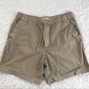 American Eagle Men’s Shorts